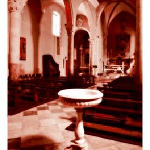 Water Is Thicker than Blood Low Pice Fee Shipping Online