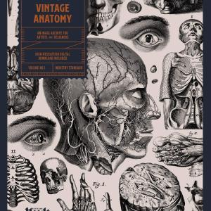 Vintage Anatomy: An Image Archive for Artists and Designers Authentic