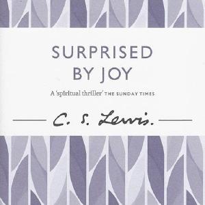 Surprised by Joy Amazon Footaction