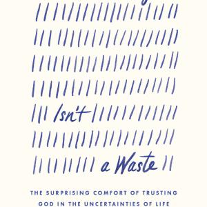 Waiting Isn't a Waste: The Surprising Comfort of Trusting God in the Uncertainties of Life Cheap Sale Professional