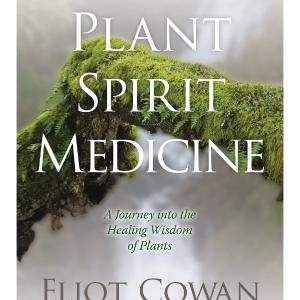 Plant Spirit Medicine: A Journey Into the Healing Wisdom of Plants Manchester For Sale
