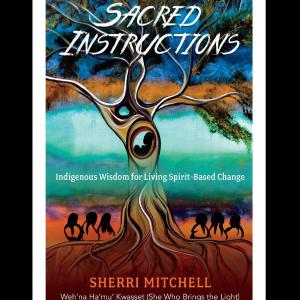 Sacred Instructions: Indigenous Wisdom for Living Spirit-Based Change Cheap Sale Reliable
