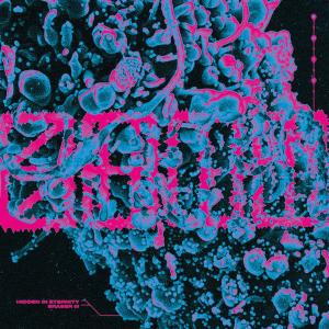 S.H.I.T. - Hidden In Eternity NEW 7" Outlet 2025 New