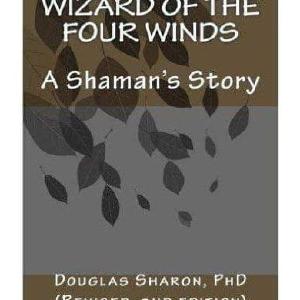 Wizard of the Four Winds by Douglas Sharon Buy Cheap 2025 Unisex