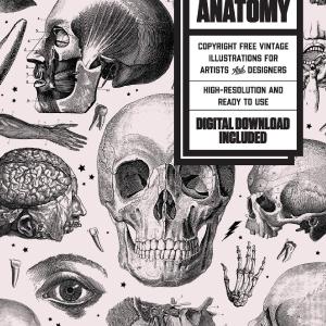 Skulls and Anatomy Tumblr