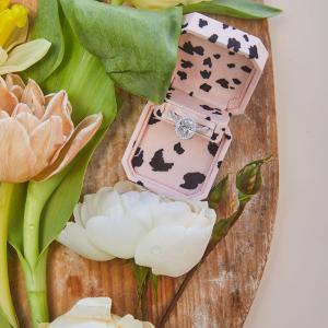 The Poppy Proposal Free Shipping Wholesale Pice