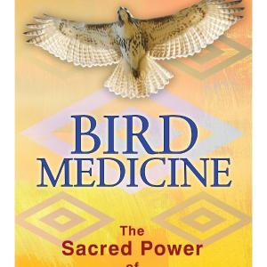 Bird Medicine: The Sacred Power of Bird Shamanism by Evan T. Pritchard Cheap Sale Discounts