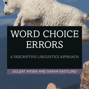 Word Choice Errors - Hardback Grey Outlet Store Online