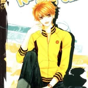 Neck and Neck Vol 3 Cheap Real Authentic