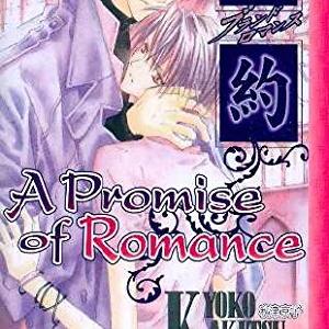 A Promise of Romance Outlet Affordable
