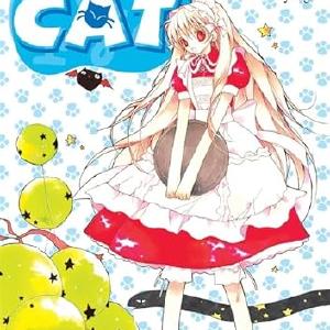 11th Cat Vol 2 Cheap Sale Cost