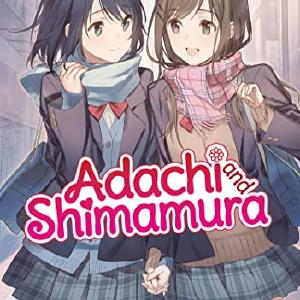 Adachi and Shimamura Vol 10 Light Novel Free Shipping Wholesale Pice