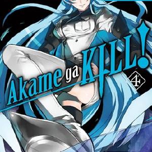 Akame Ga Kill! Vol 4 Outlet Cheap Pice