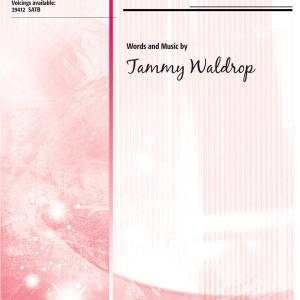 Walk in the Light Best Pices Cheap Pice