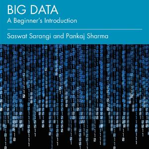 Big Data - Paperback / softback Clearance Best Store To Get
