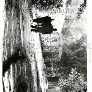 1958 Press Photo Peter Townsend Story Supply