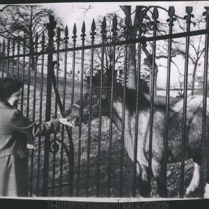 1962 Press Photo Caroline Kennedy Cheap Purchase