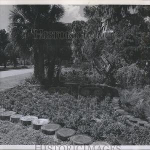 1968 Press Photo Garden Club Nature Trail beautificatio Free Shipping Outlet Locations