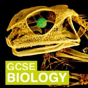 Twenty First Century Science: GCSE Biology Student Book Cheap Sale Finishline