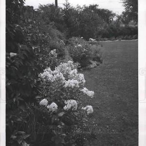 1957 Press Photo Landscapes in Cleveland, Ohio yards High Quality For Sale