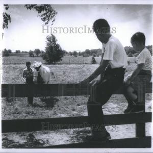 1957 Press Photo Michigan Farm Buy Cheap Authentic
