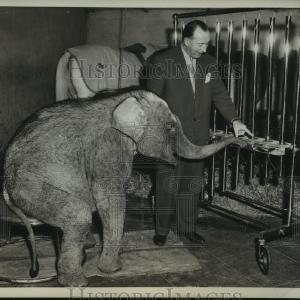 1959 Press Photo Indian elephant Berolina plays oversize harmonica with trainer Buy Cheap Free Shipping