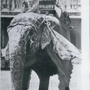 1956 Press Photo US Chief Justice Earl Warren, Elephant Reliable Sale Online