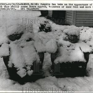1965 Press Photo Pumpkin Men Free Shipping Eastbay