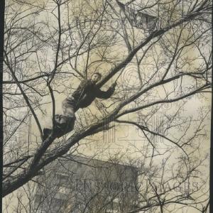 1956 Press Photo Kite Flying Time Again Sale Footlocker Finishline