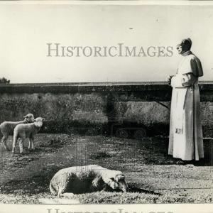 1956 Press Photo Pope Pius XII, Castel Gandolfo Buy Cheap Discounts