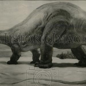 1958 Press Photo Dinosaurs Prehistoric Animals - RRW77817 Many Kinds Of Cheap Pice