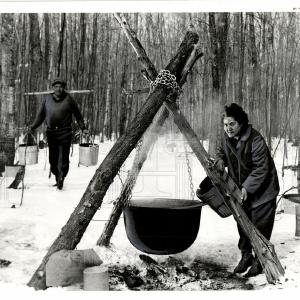 1964 Press Photo maple syrup industry north america Cheap Cheap Online