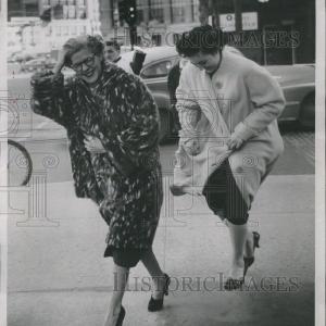 1955 Press Photo Wind  Power wind Energy Capacity Germa Browse Cheap Online