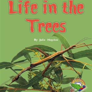 Life in the Trees Discount For Nice