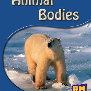 Animal Bodies In China Cheap Pice
