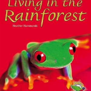 Living in the Rainforest With Paypal Cheap Online