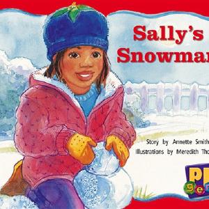 Sally's Snowman Comfortable Cheap Pice