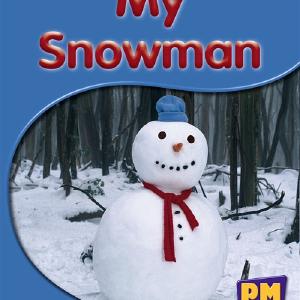My Snowman Sale Online Cheap