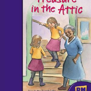 Treasure in the Attic Cost Cheap Pice