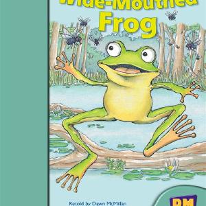 Wide-Mouthed Frog Original Cheap Online