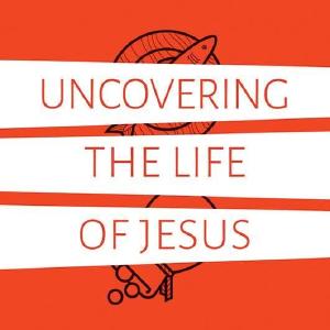 Uncovering the Life of Jesus: Six encounters with Christ from the Gospel of Luke Cheap Pice Wholesale