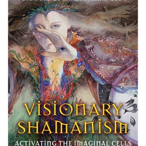 Visionary Shamanism: Activating the Imaginal Cells of the Human Energy Field Cheap Best Wholesale