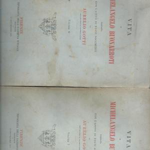 vita di michelangelo buonarroti in 2 volumi Cheap Sale Sale