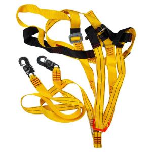 Full Harness With Double Lanyard Snaphook Buy Cheap Pices
