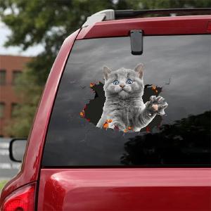 3D Dog & Cat Car Sticker, Waterproof Wall Stickers, Removable Art Decals Sticker, Home Decor Free Shipping Manchester