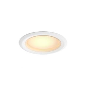Philips 578484 HUE LED Retrofit Recessed Lighting, 10 Watts, 120 Volt Popular