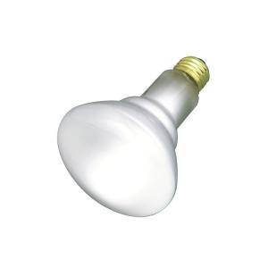 Satco S2817 BR30 Reflector Incandescent Bulb, 65 W, Soft White Outlet