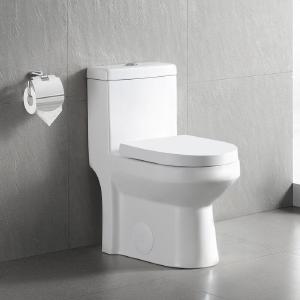 White Dual-Flush Elongated One-Piece Toilet (Seat Included) (Part number: DV-1F52812) White Dual-Flush Elongated One-Piece Toilet (Seat Included) (Part number: DV-1F52812)K8748 Buy Cheap Pice