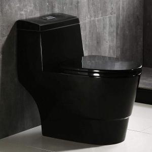 WOODBRIDGE Modern One Piece Toilet with Soft Closing Seat EJ544 Clearance Limited Edition