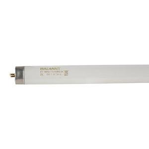 5 Ft T8 Fluorescent Tube 58w G13 6500 K Clearance Buy